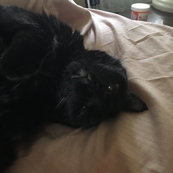 Meet your Posher, Theresa - Picture 1 of 1